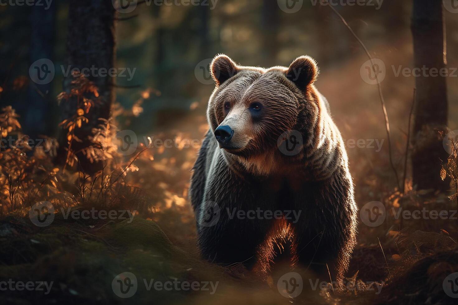 AI generated Bear Standing Still in the Serene Forest. created with Generative AI photo