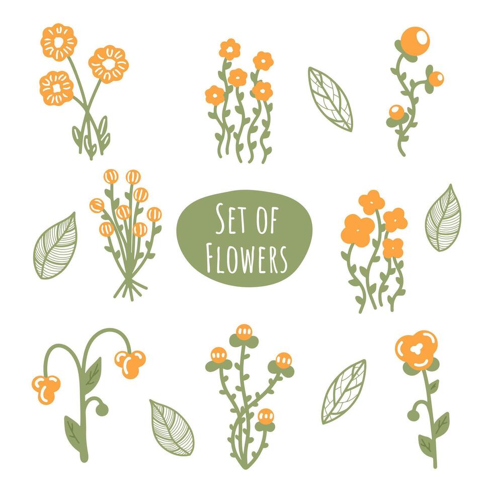 Set of orange flowers with vintage leaves from spring and summer collection. Variety of orange flowers with stems in vintage style. Objects isolated on white background. vector