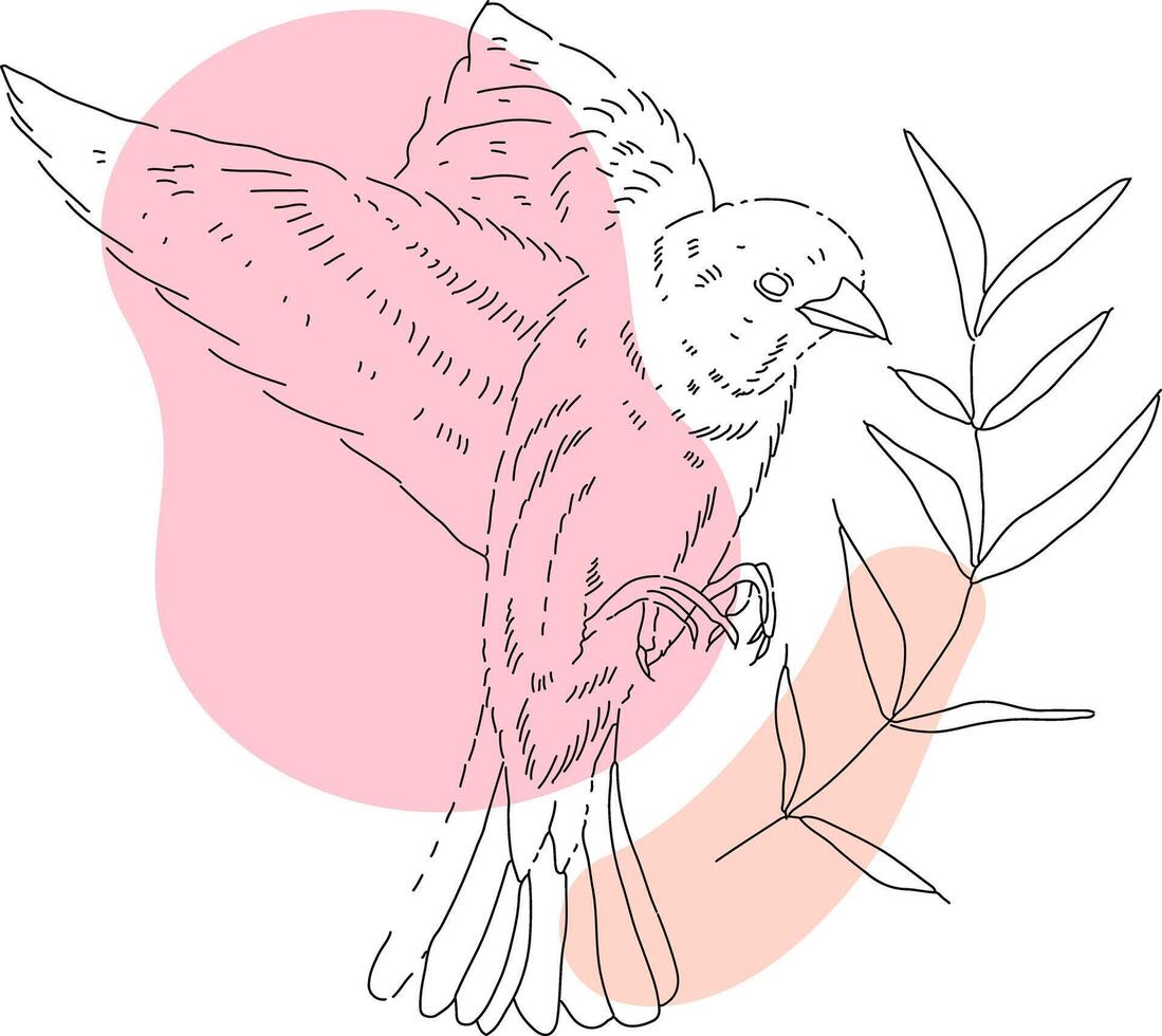 pájaro y formas boho estilo para plantillas. vector