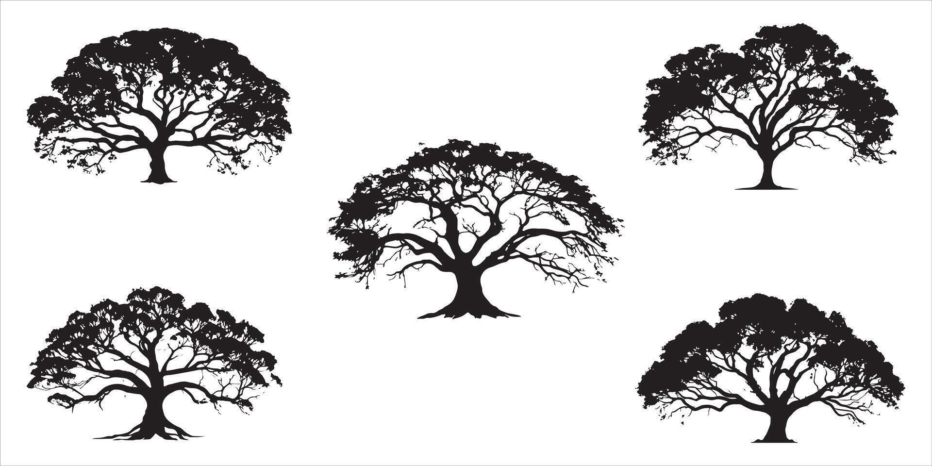 Tree Silhouette Set Outline Vector Illustration On White Background
