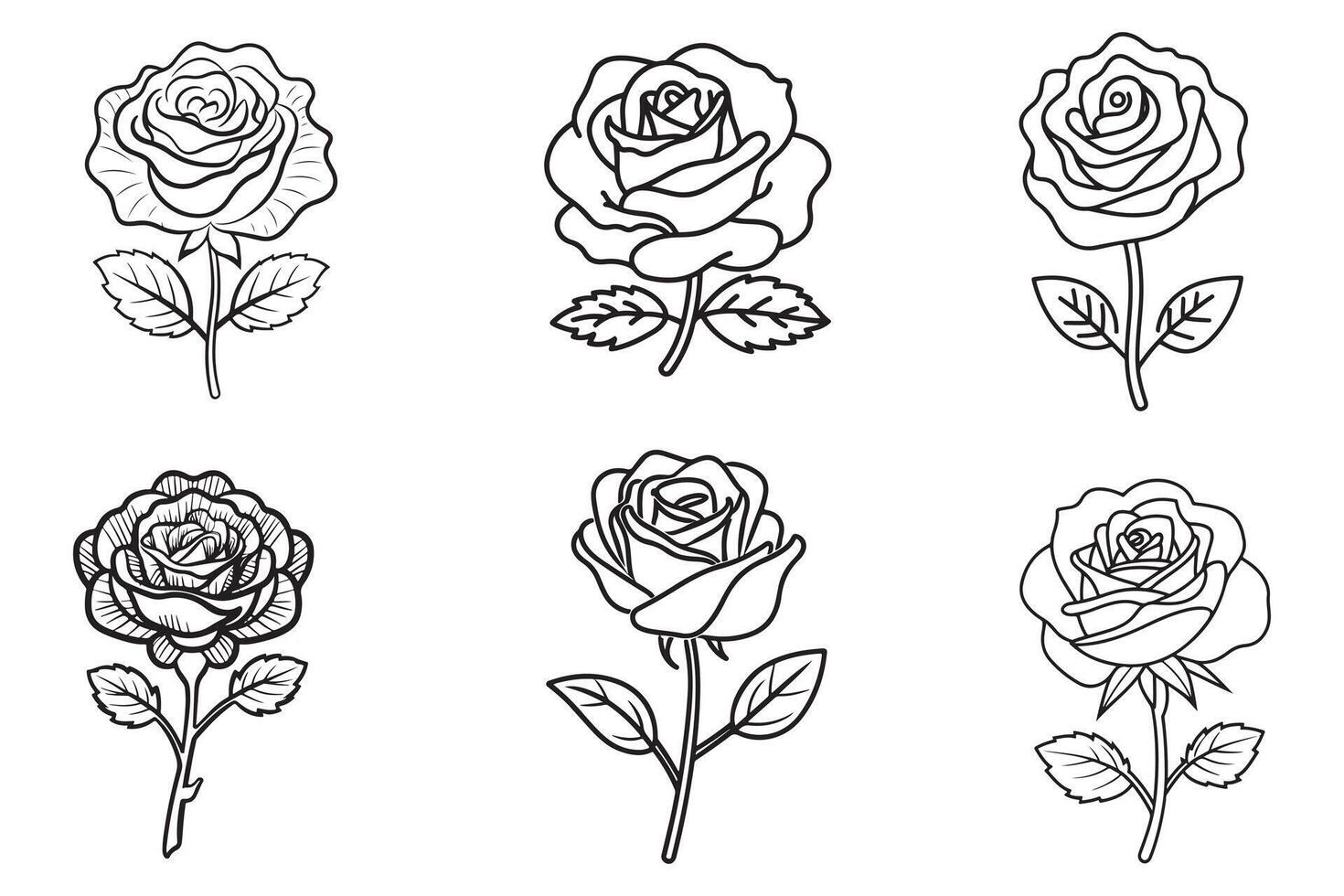 Rose Flowers Set Vector Silhouette Outline In White Background