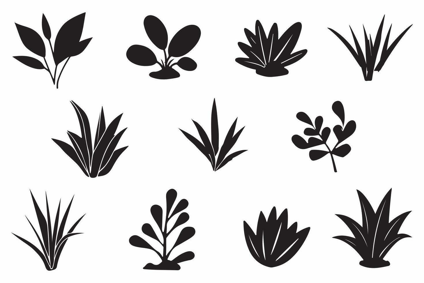 conjunto de suculento planta contorno vector ilustración en blanco antecedentes