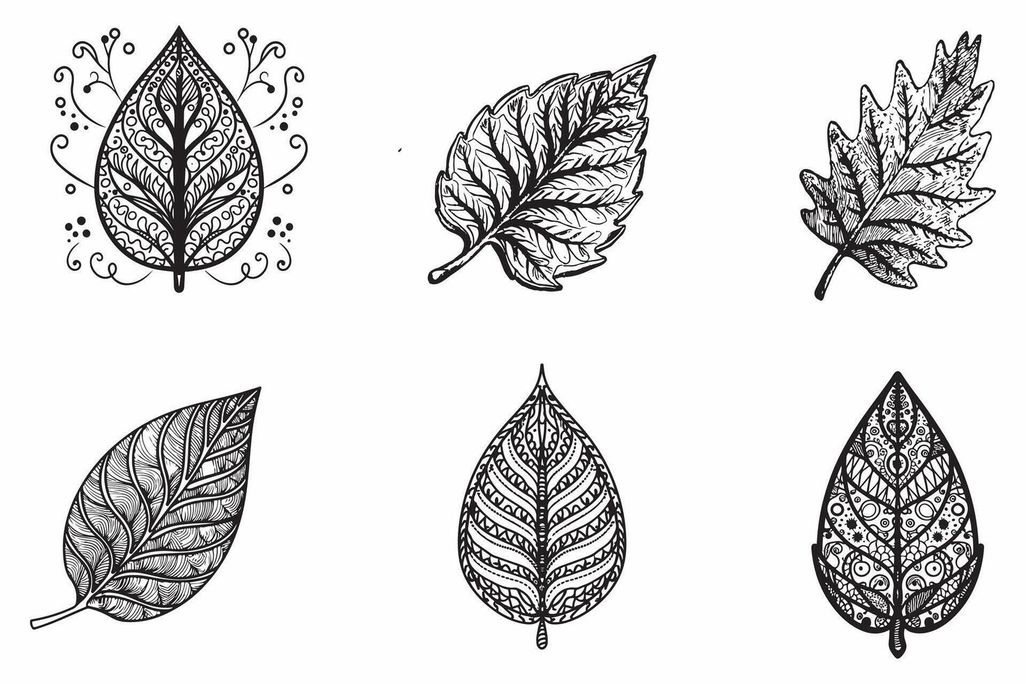 Sketch Leaves Set Outline Vector Illustration On White Background