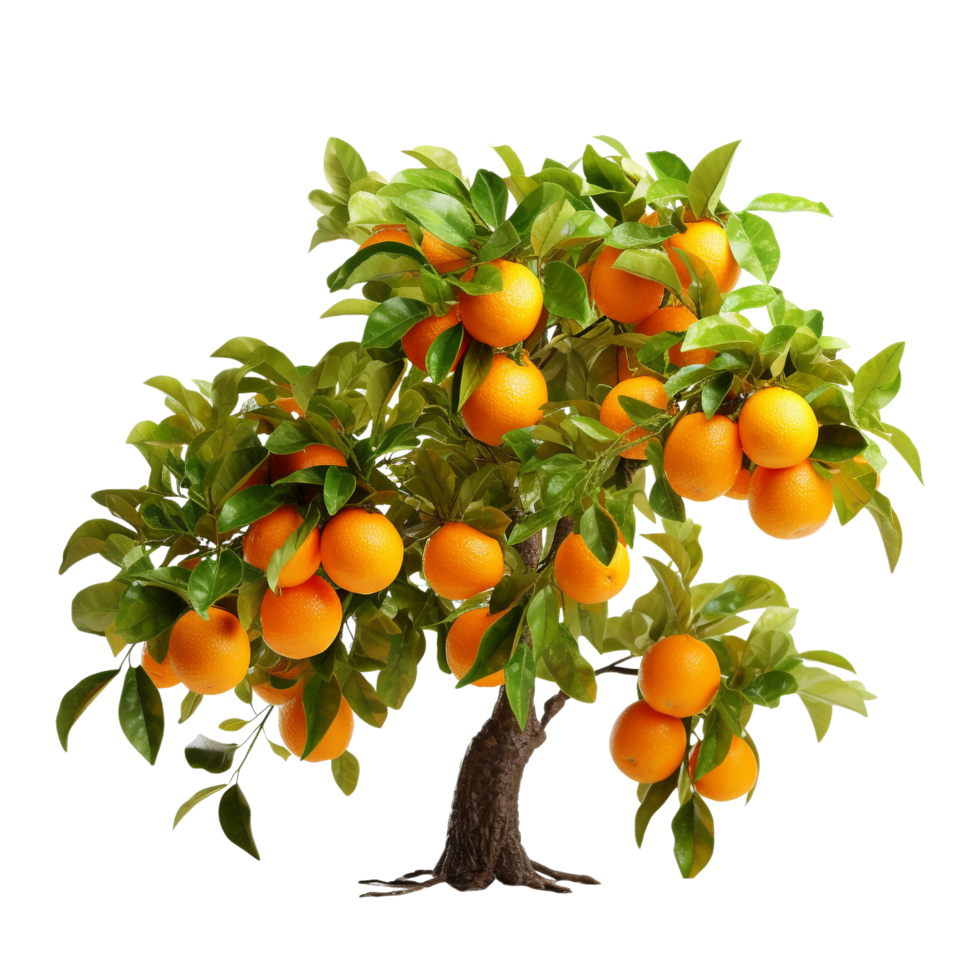 ai gegenereerd oranje fruit boom klem kunst png