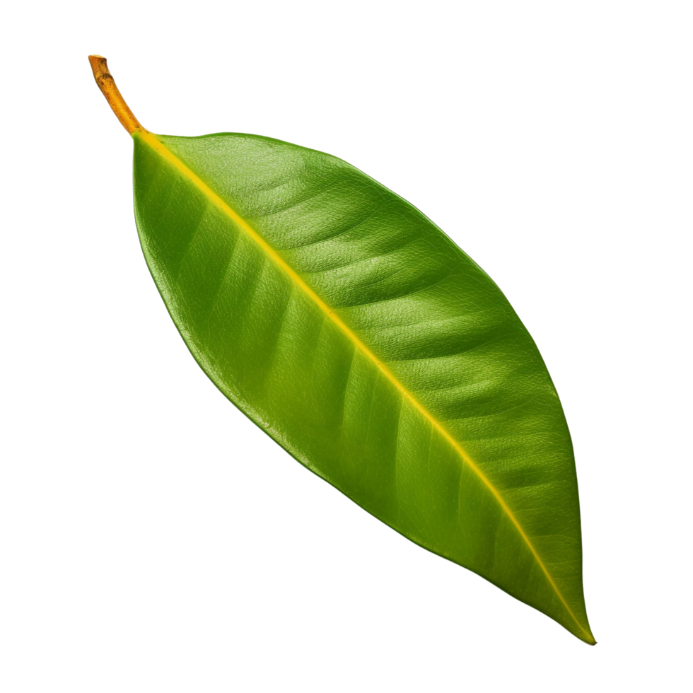 AI generated Mango leaf clip art png