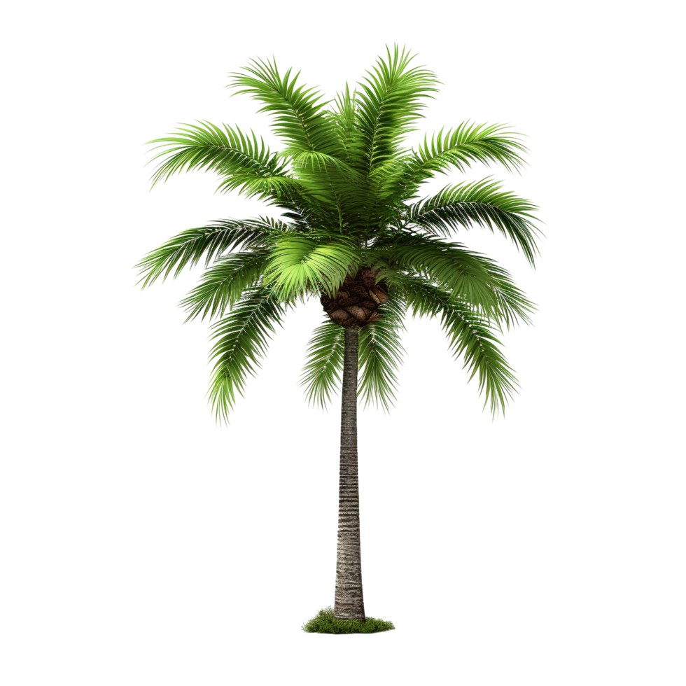 AI generated Green palm tree clip art png