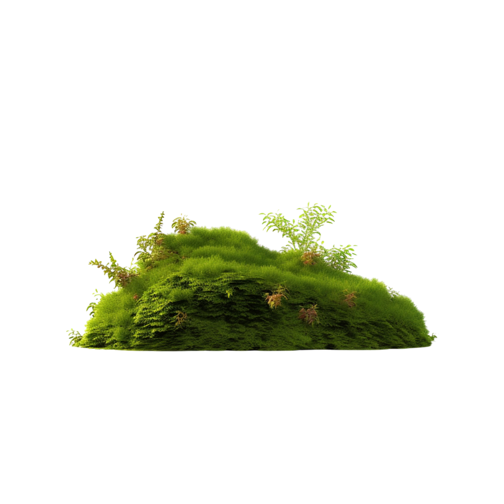 AI generated Green moss with grass clip art png
