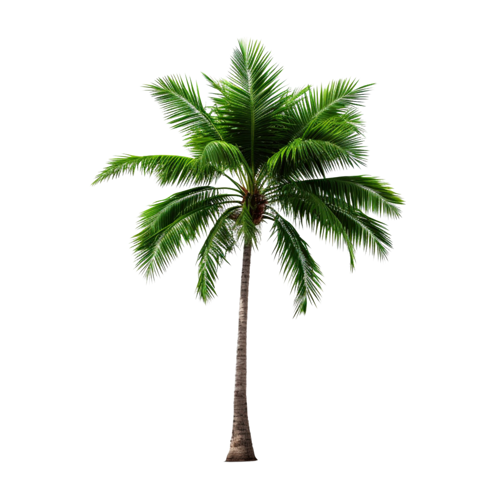 AI generated Green palm tree clip art png