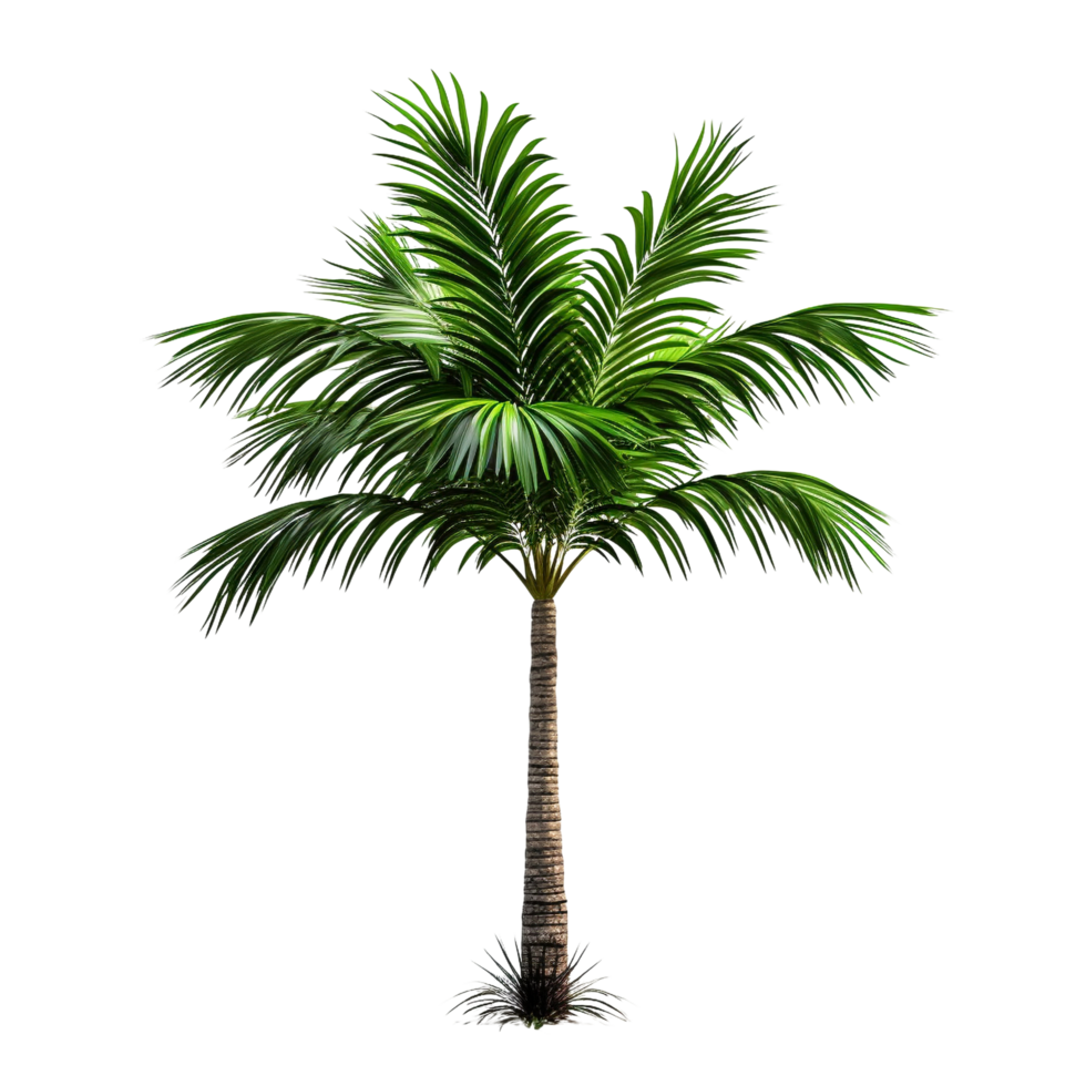 AI generated Green palm tree clip art png