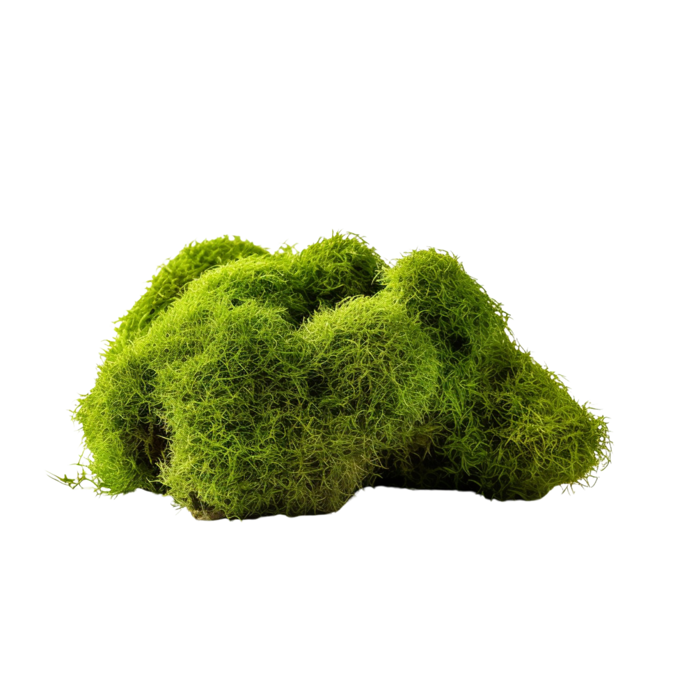 AI generated Green moss with grass clip art png