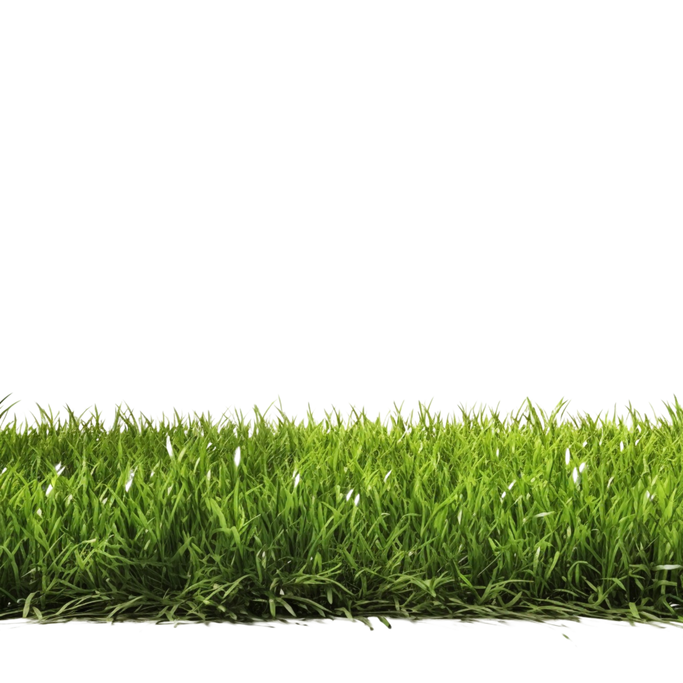 AI generated Green grass field clip art png