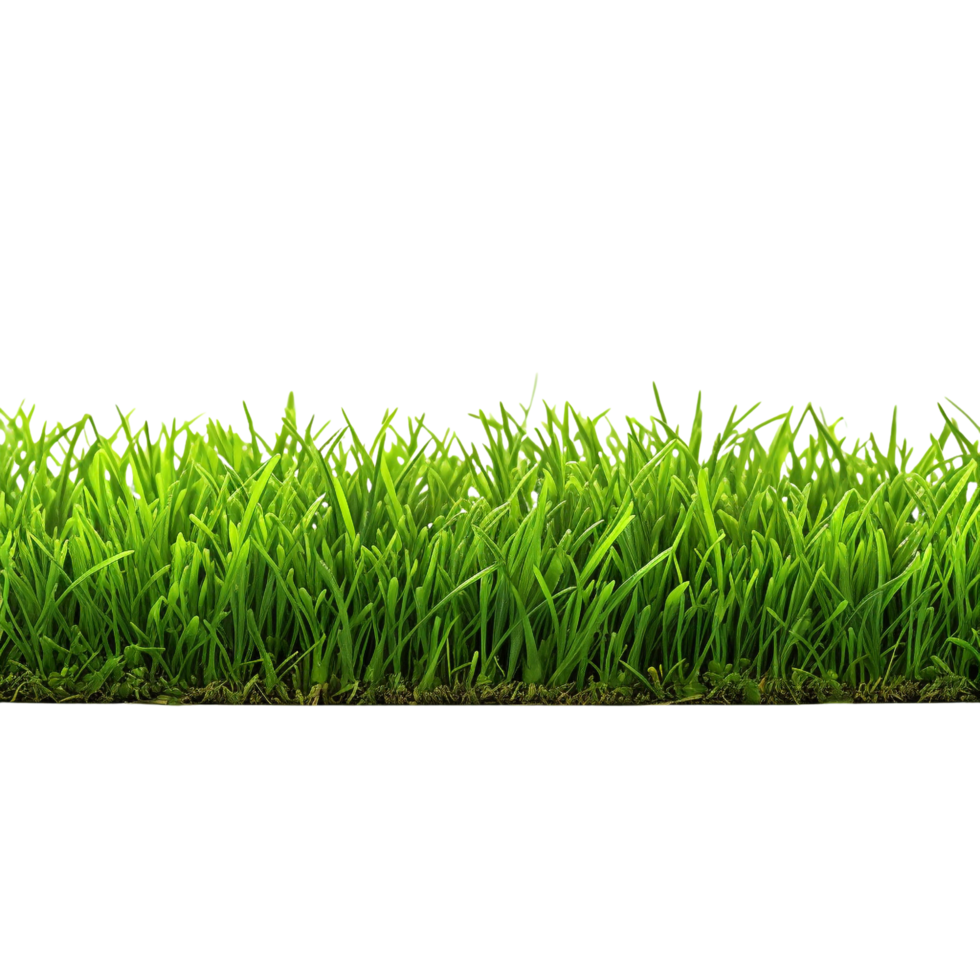 AI generated Green grass field clip art png