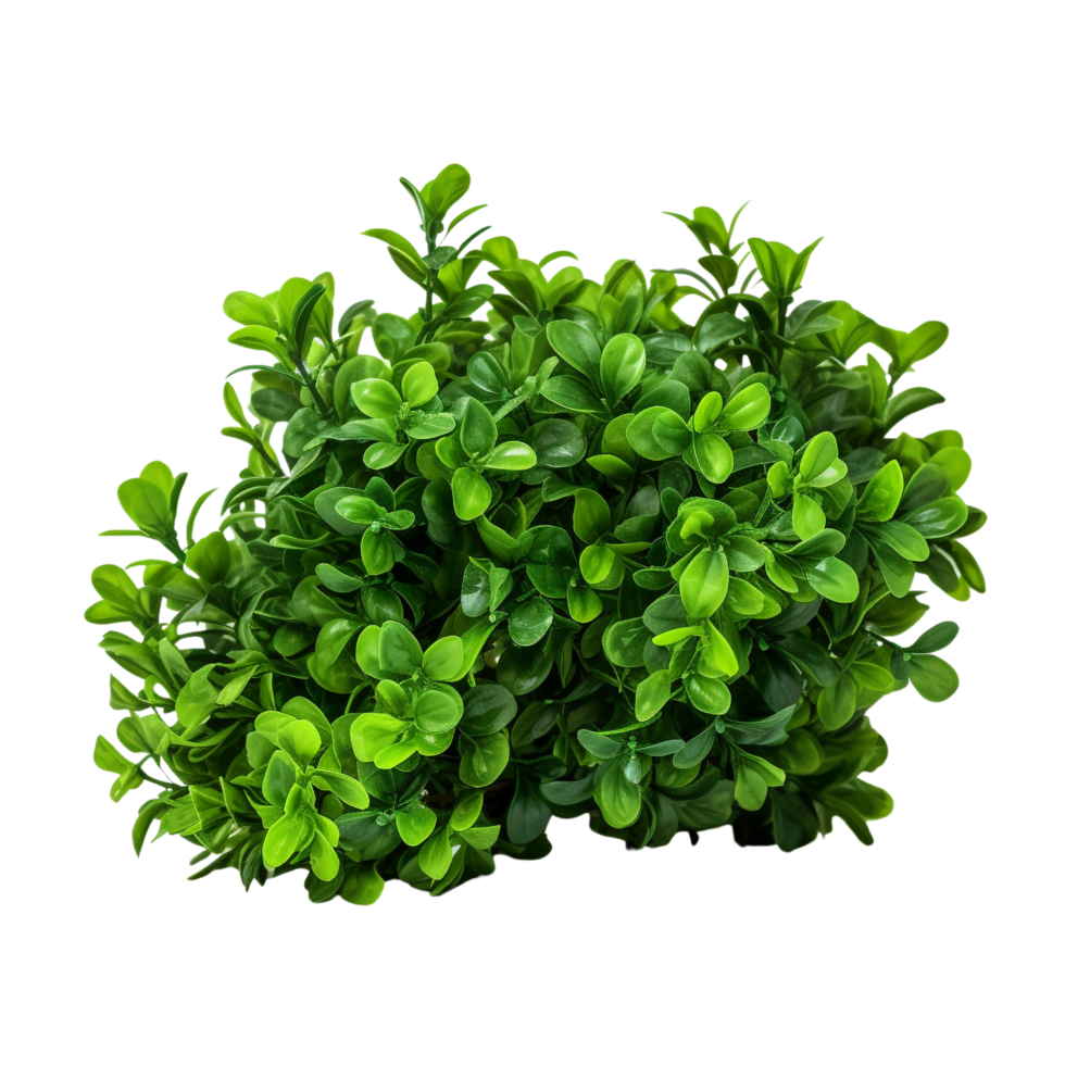 AI generated Green bush clip art png