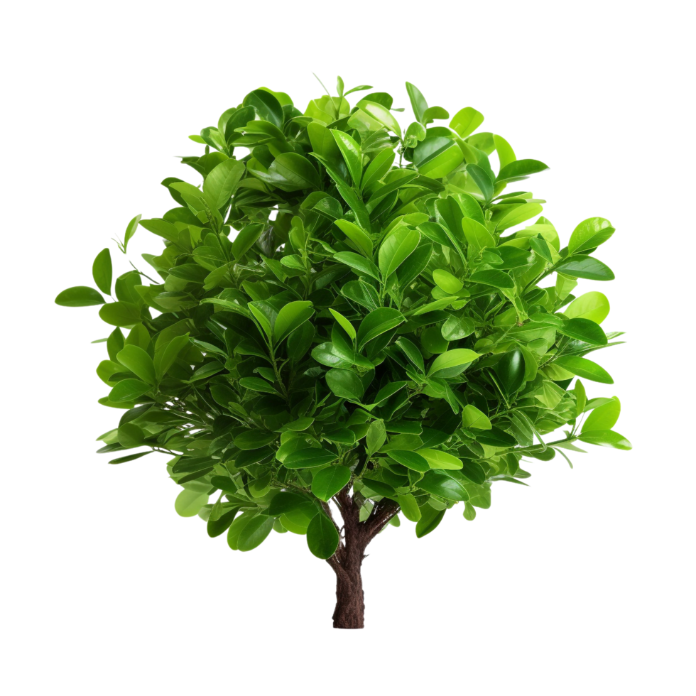 AI generated Green bush clip art png