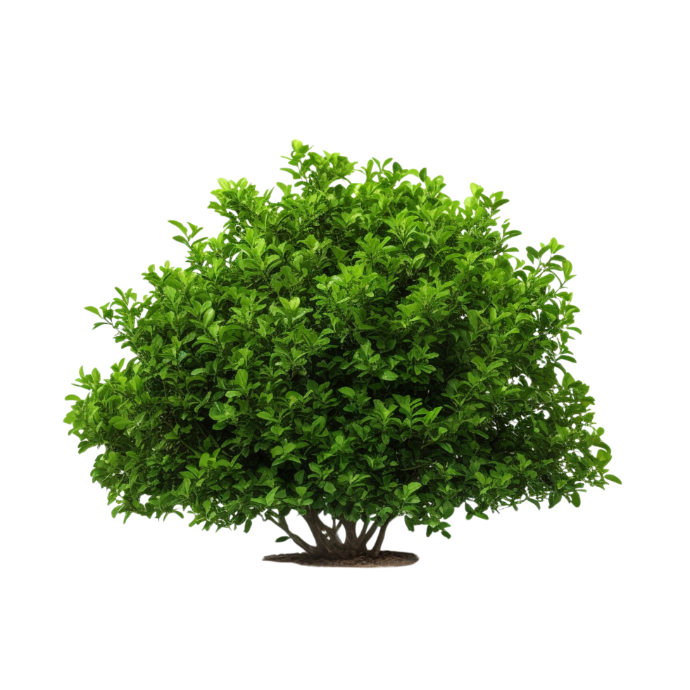 AI generated Green bush clip art png