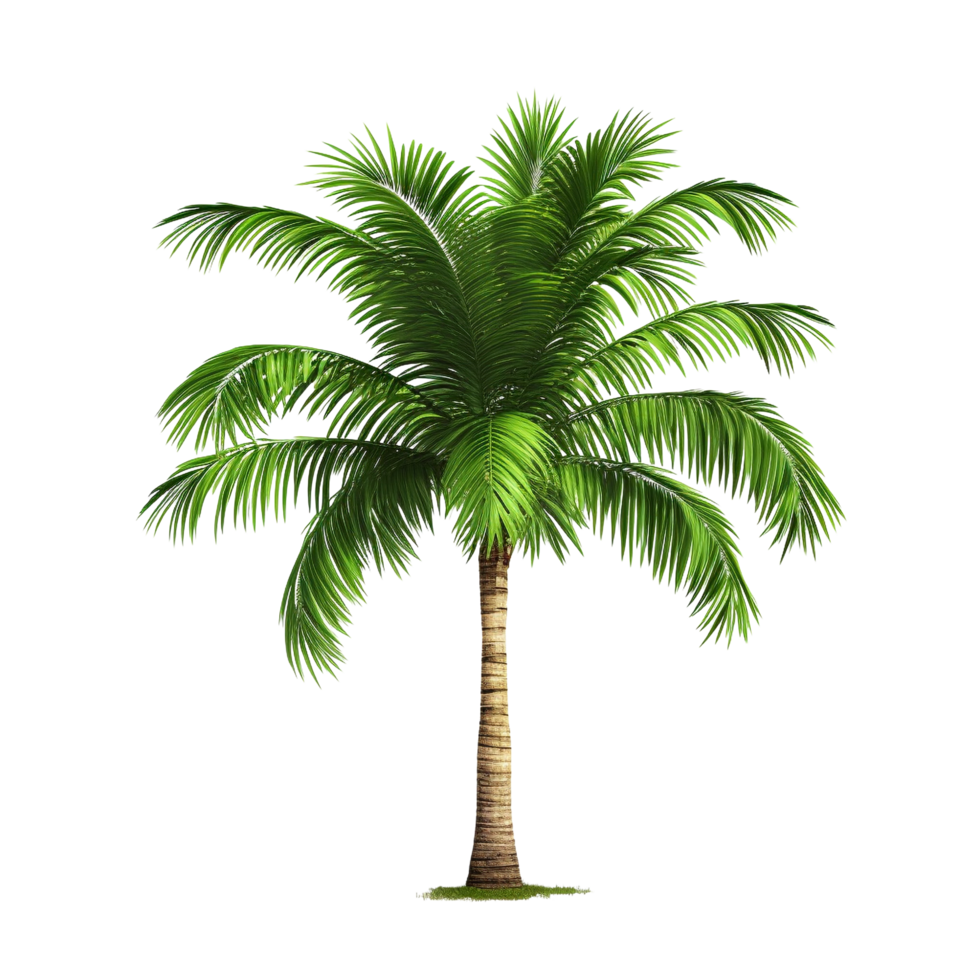 AI generated Green palm tree clip art png