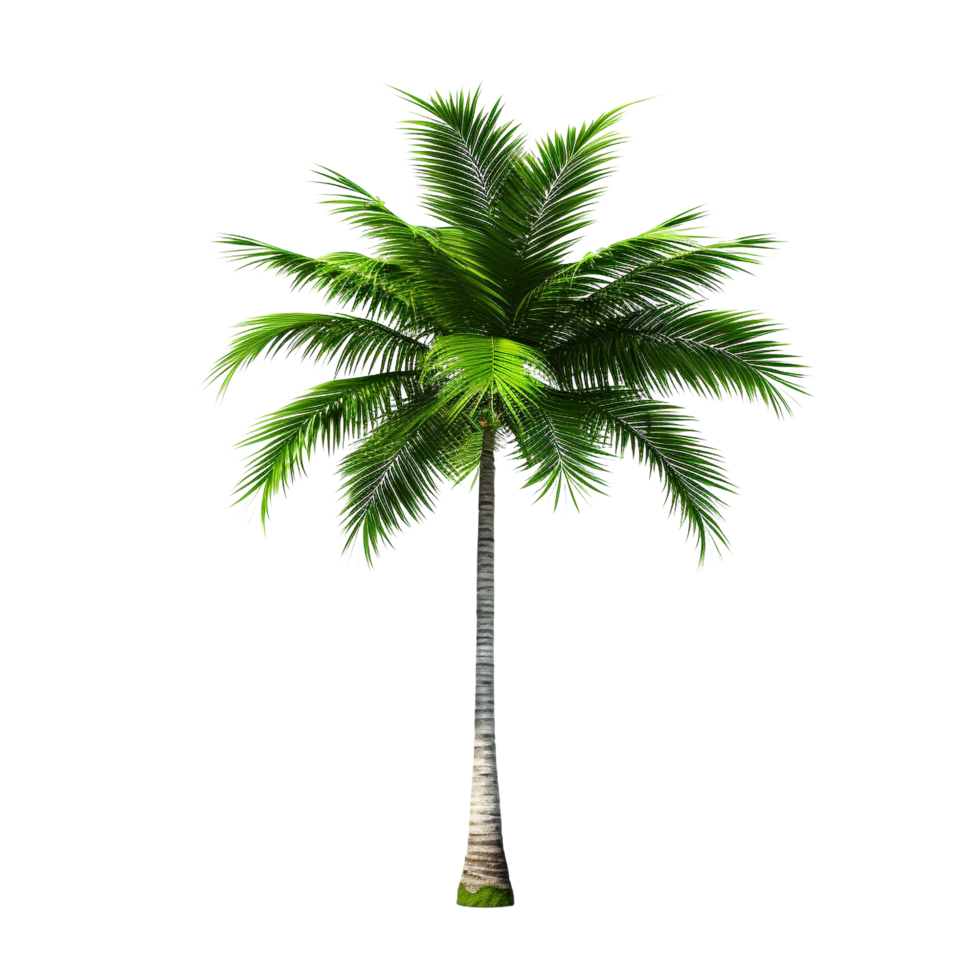 AI generated Green palm tree clip art png