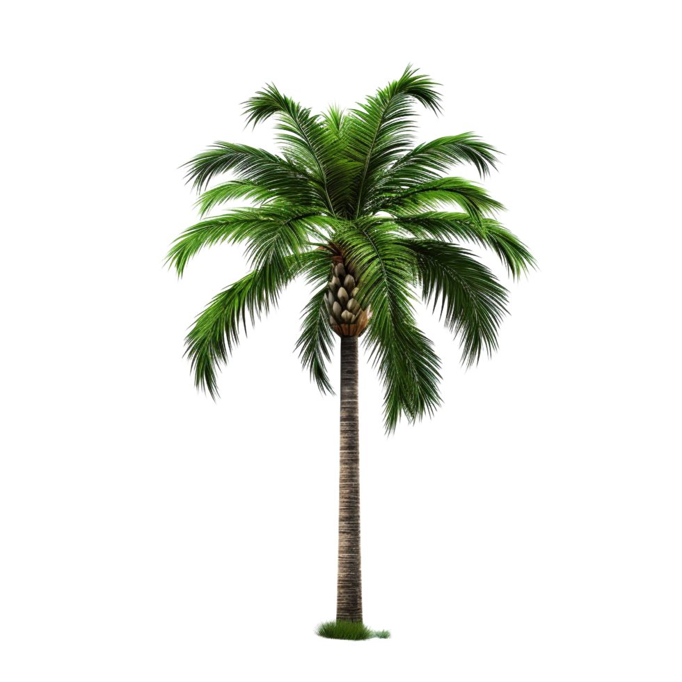 AI generated Green palm tree clip art 40219085 PNG