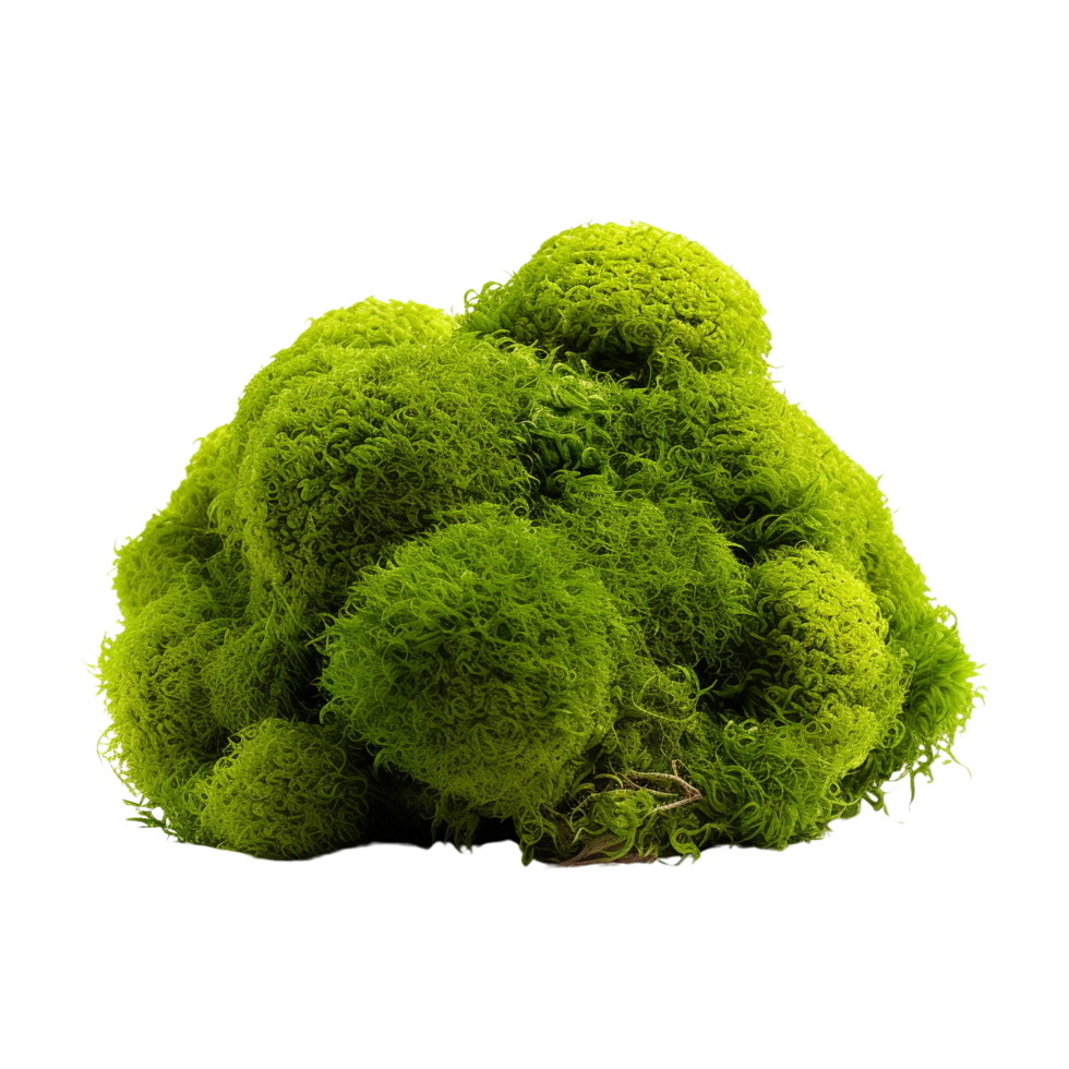 AI generated Green moss with grass clip art png