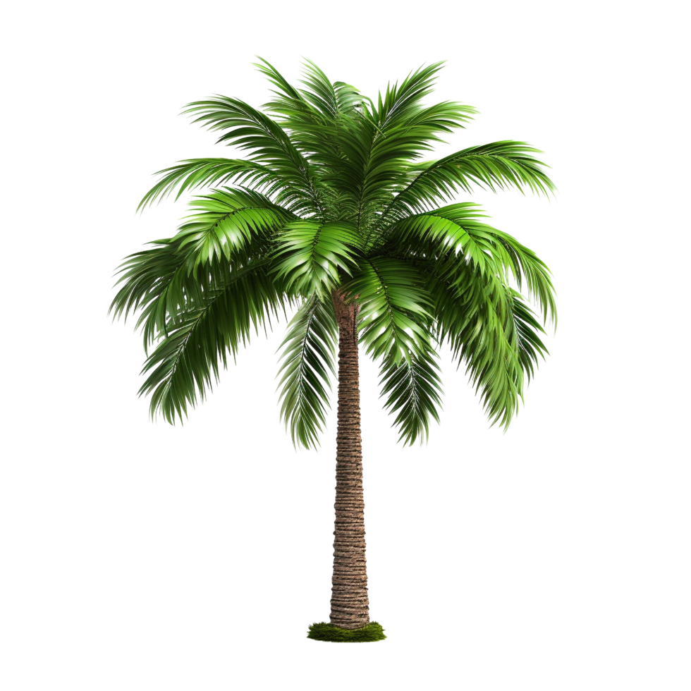 AI generated Green palm tree clip art png