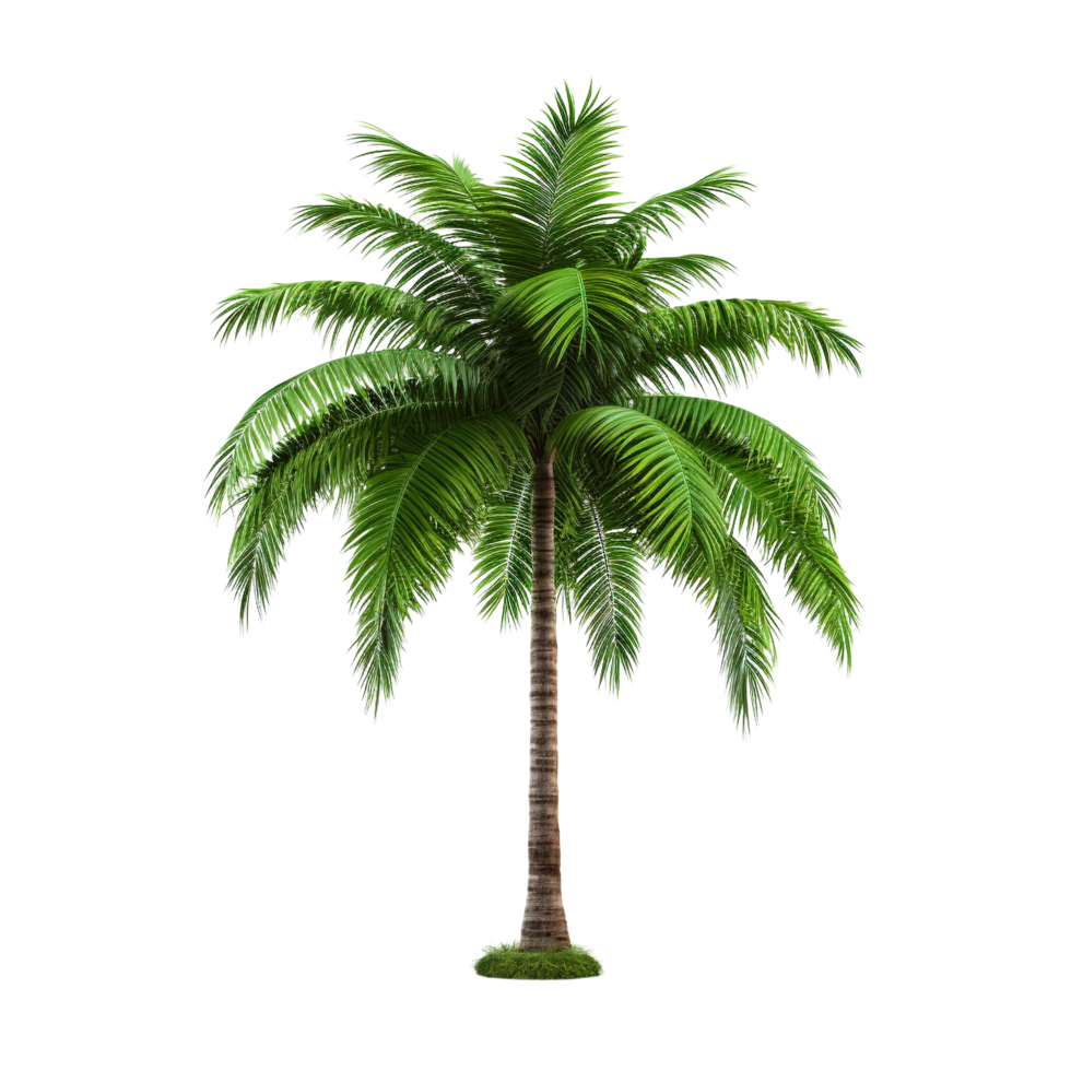 AI generated Green palm tree clip art png