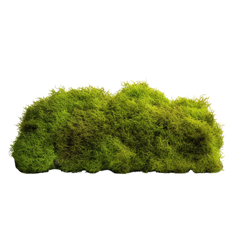 AI generated Green moss with grass clip art png