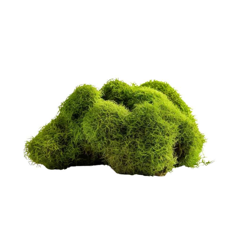 AI generated Green moss with grass clip art png
