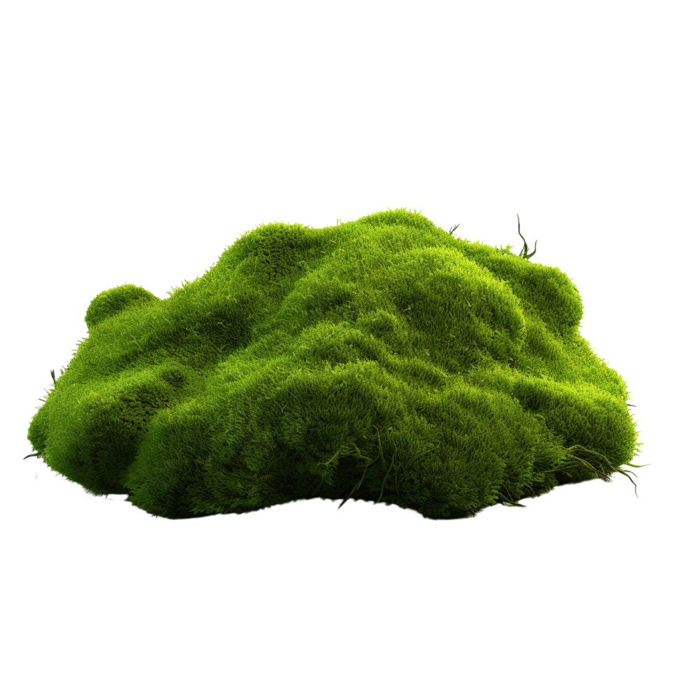AI generated Green moss with grass clip art png