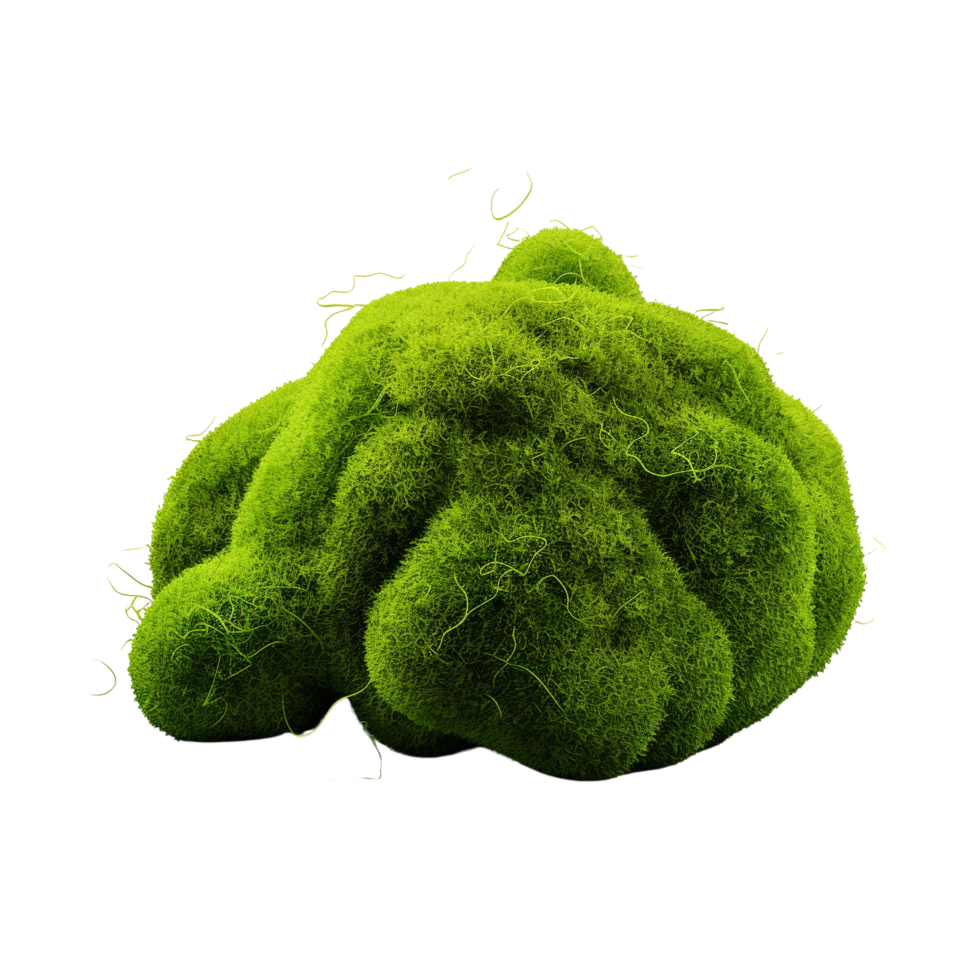 AI generated Green moss with grass clip art png