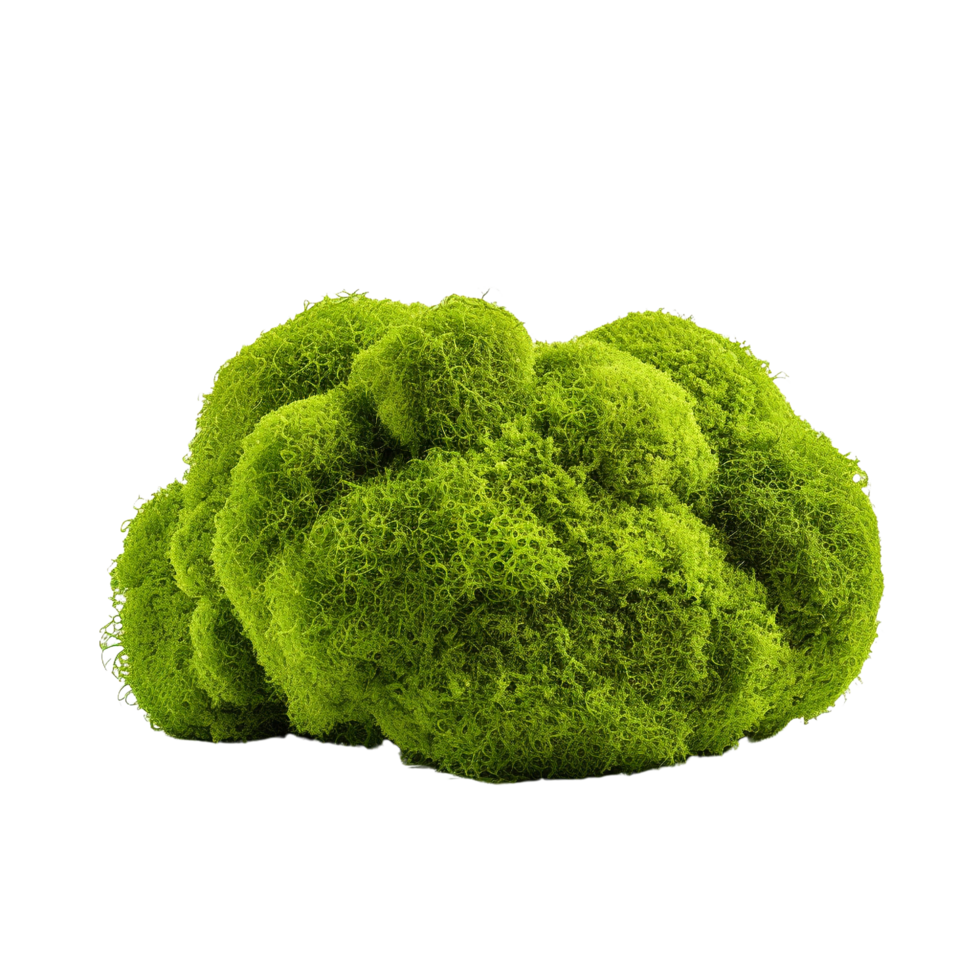 AI generated Green moss with grass clip art png
