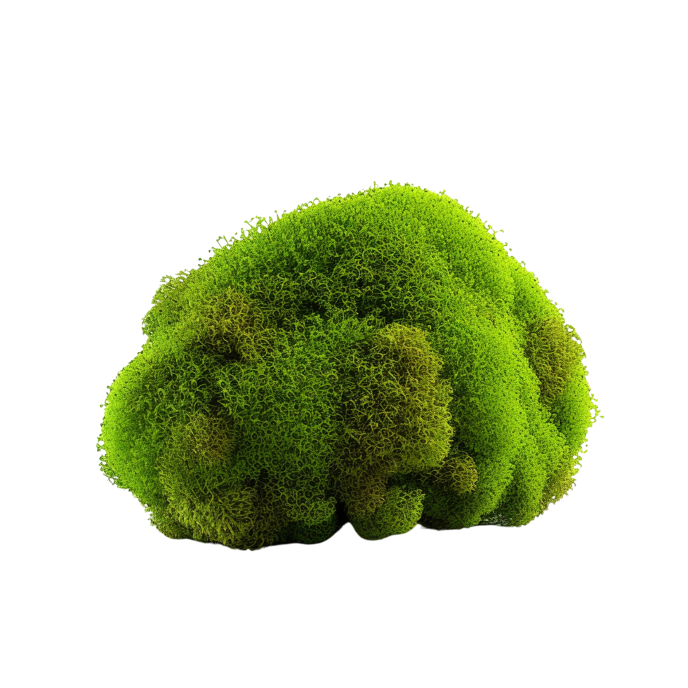 AI generated Green moss with grass clip art png