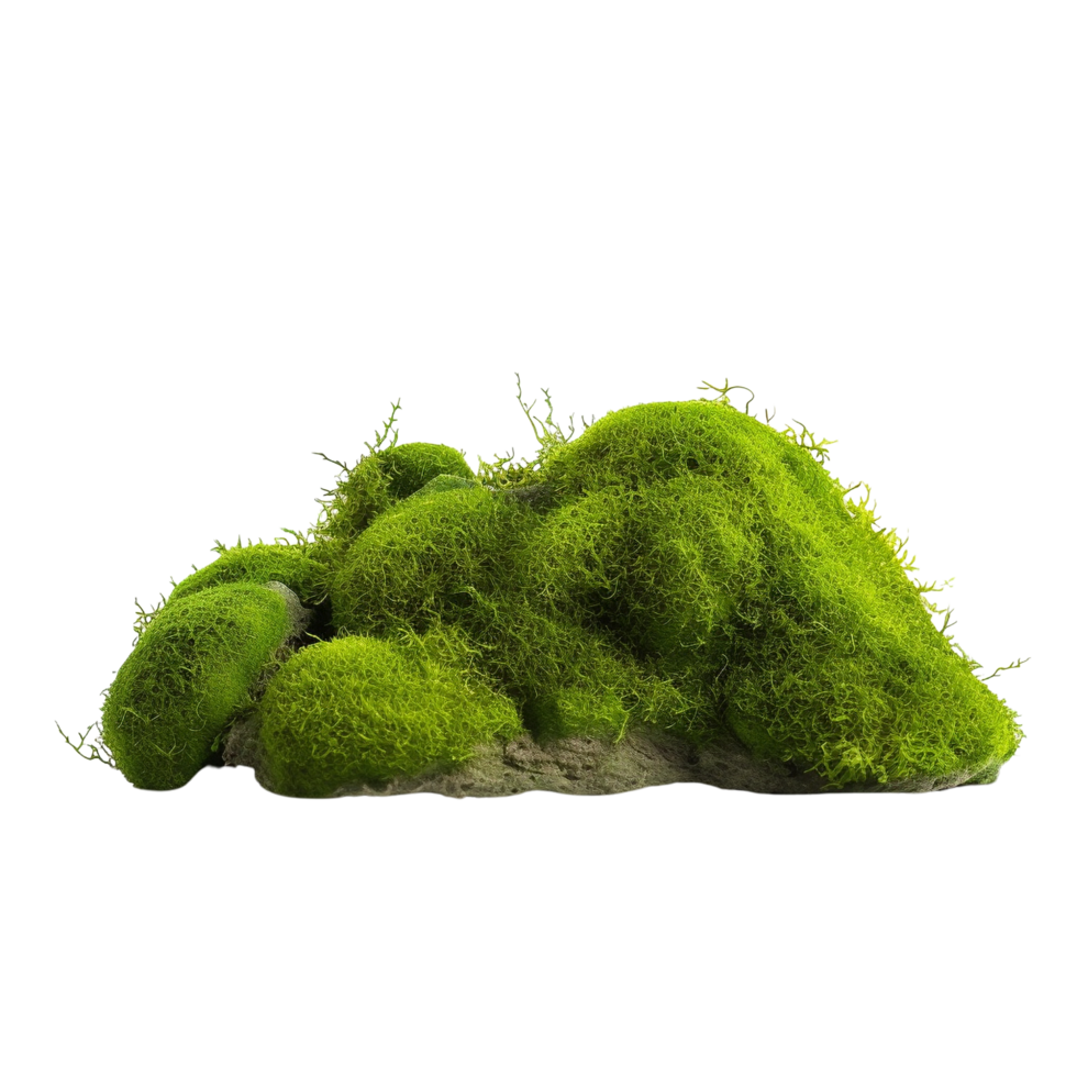 AI generated Green moss with grass clip art png