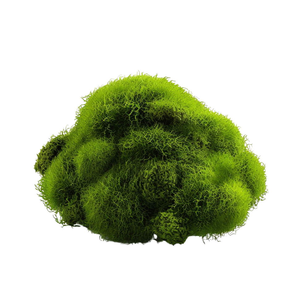 AI generated Green moss with grass clip art png