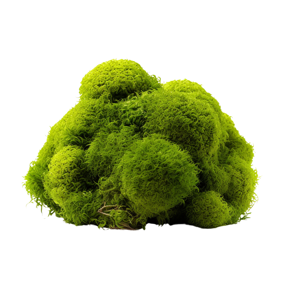 AI generated Green moss with grass clip art png