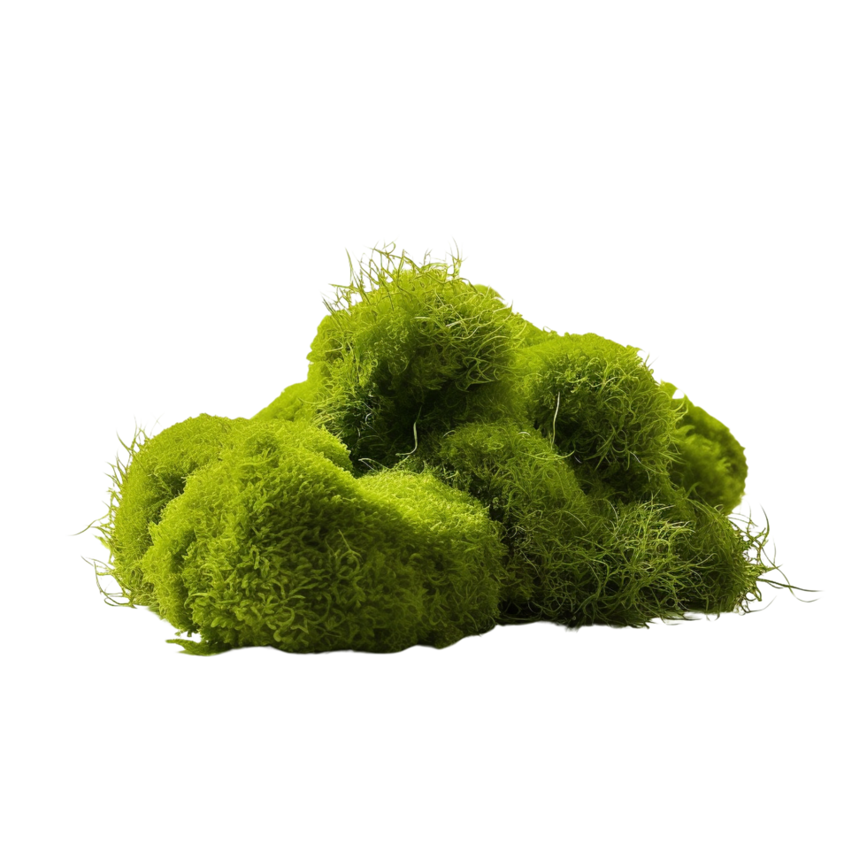 AI generated Green moss with grass clip art png