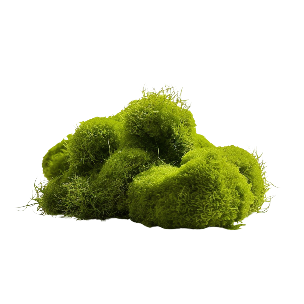 AI generated Green moss with grass clip art png