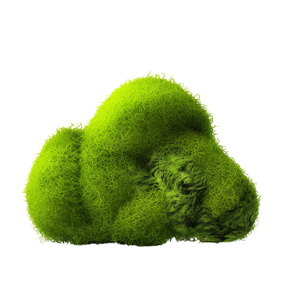 AI generated Green moss with grass clip art png