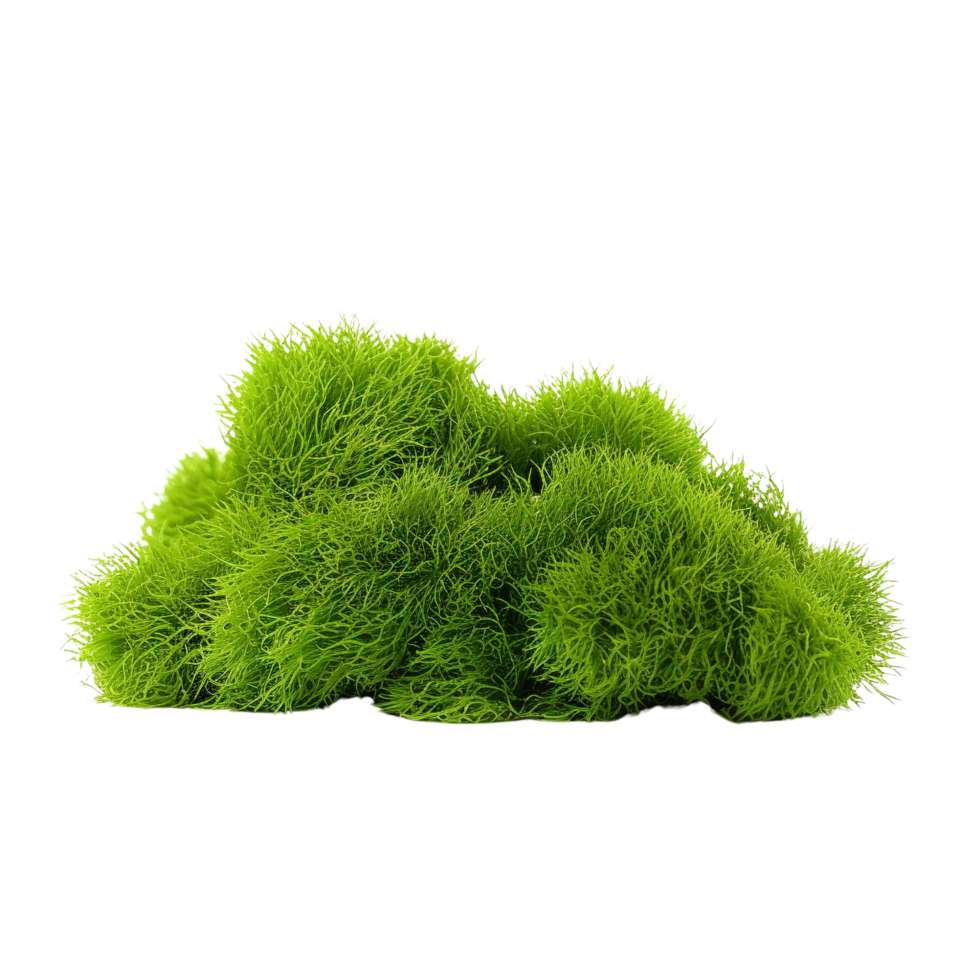 AI generated Green moss with grass clip art png