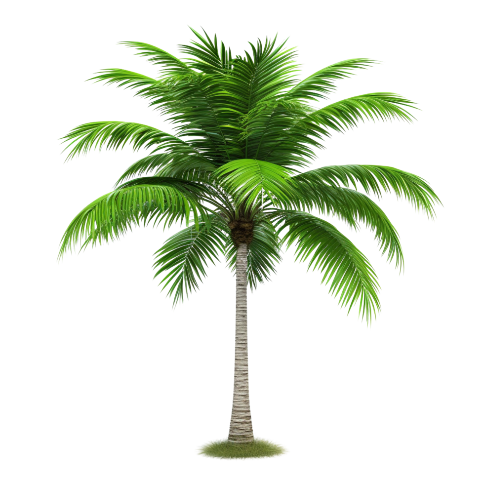 AI generated Green palm tree clip art png