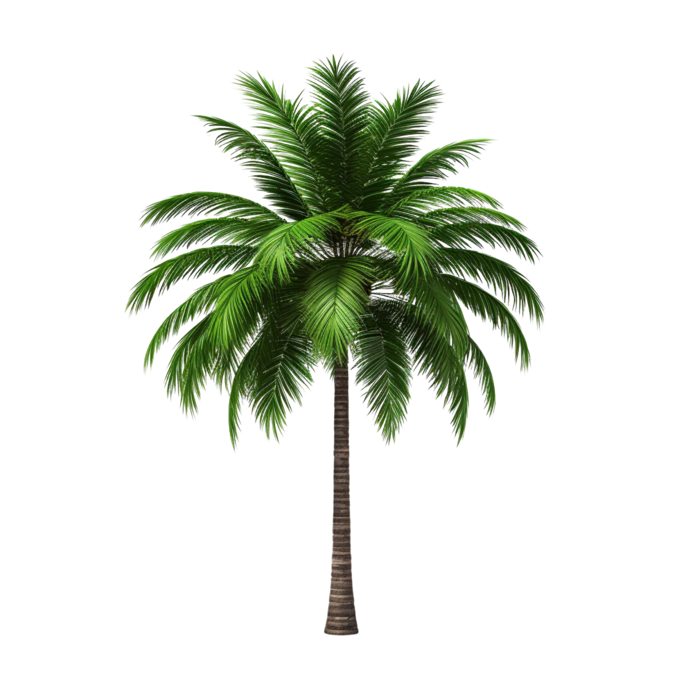 AI generated Green palm tree clip art png