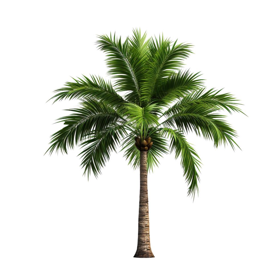 AI generated Green palm tree clip art png