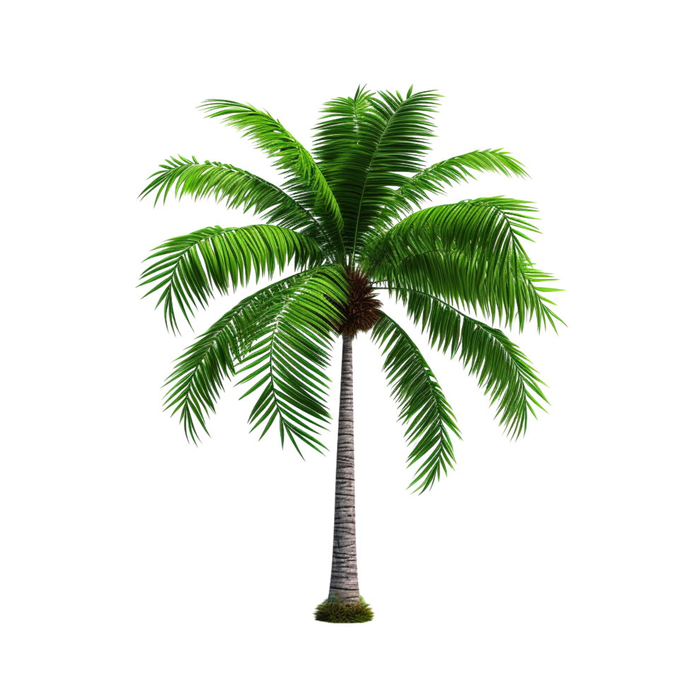 AI generated Green palm tree clip art png