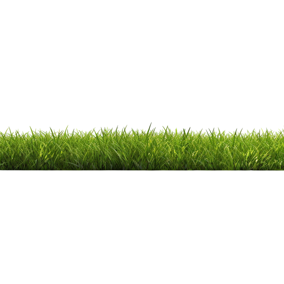 AI generated Green grass field clip art png