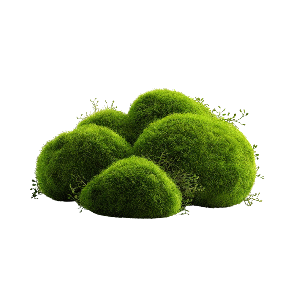 AI generated Green moss with grass clip art png