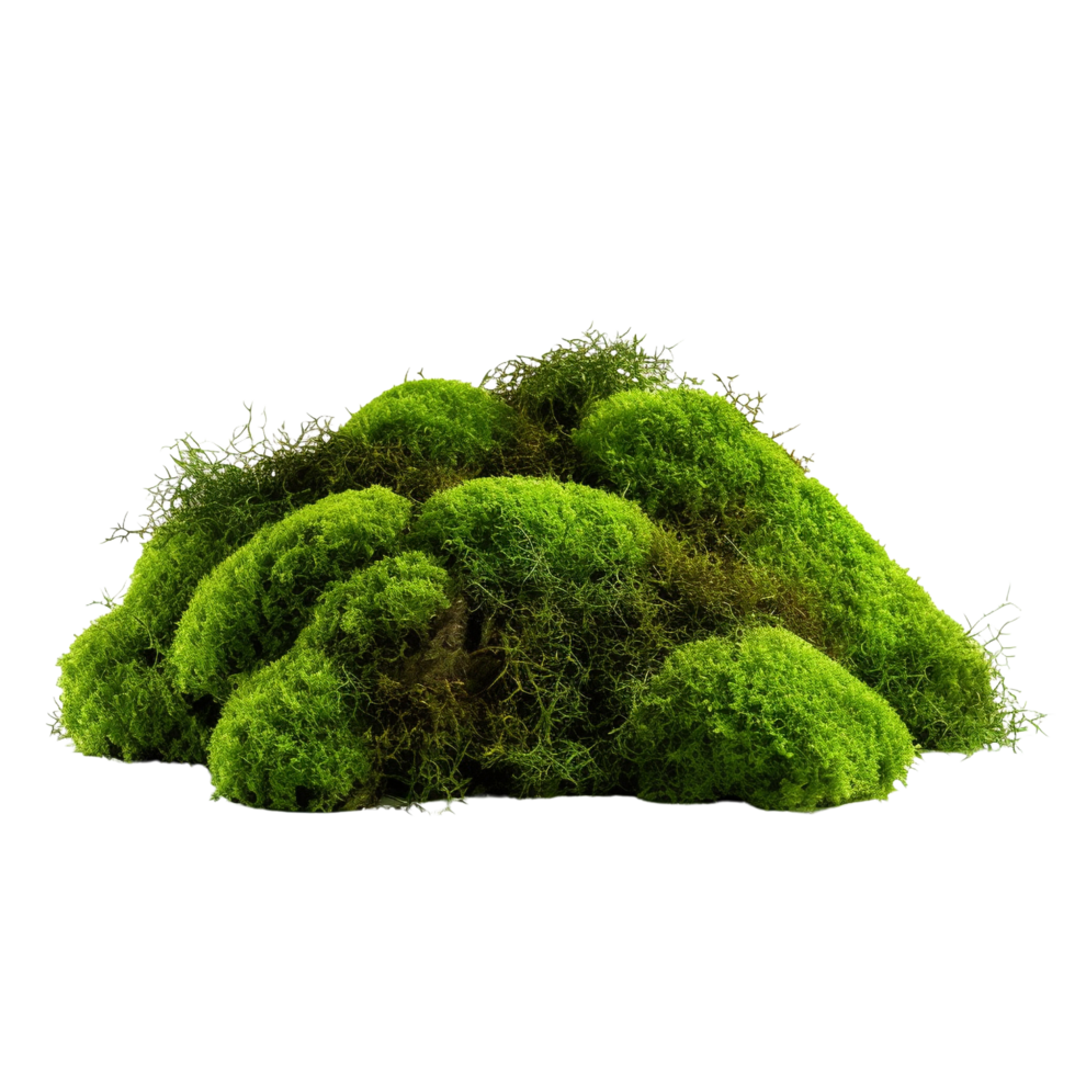 AI generated Green moss with grass clip art png
