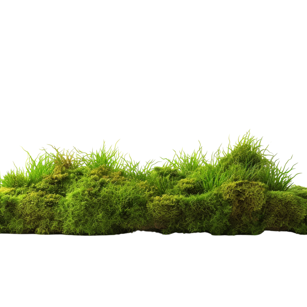 AI generated Green moss with grass clip art png