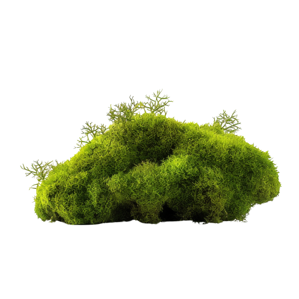 AI generated Green moss with grass clip art png