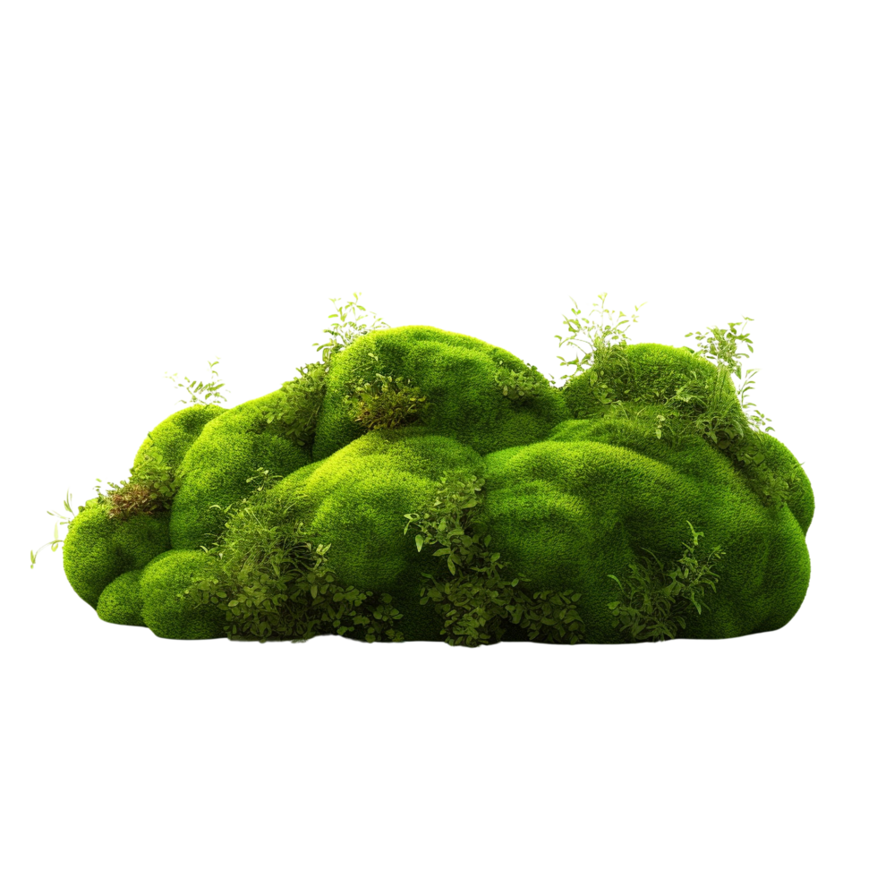 AI generated Green moss with grass clip art png