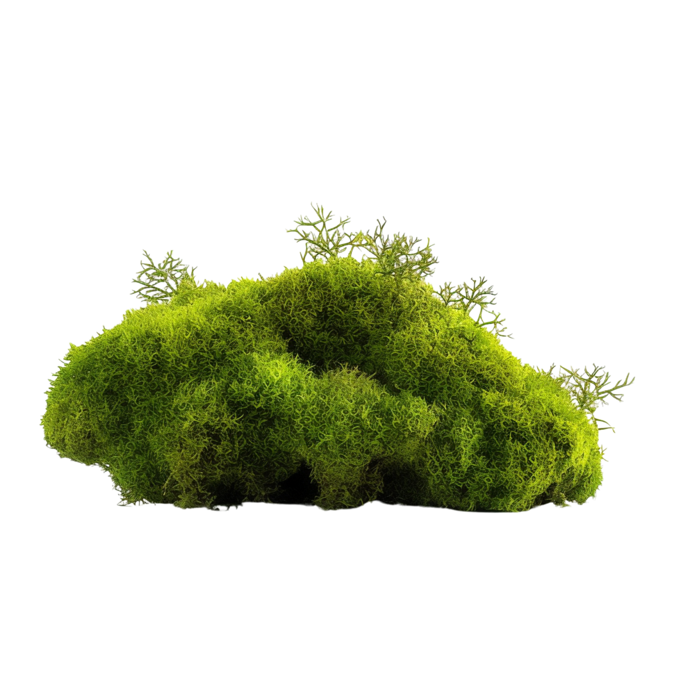 AI generated Green moss with grass clip art png
