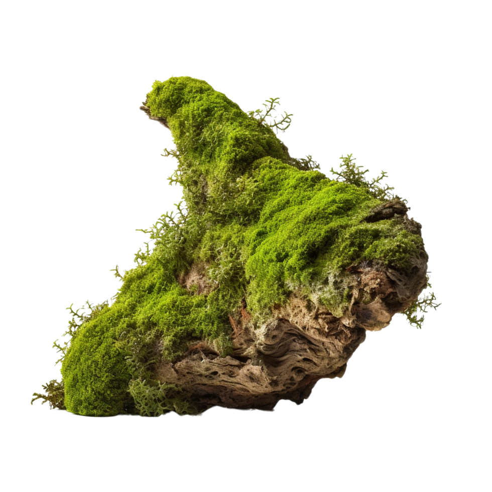 AI generated Green moss on rotten bark tree clip art png